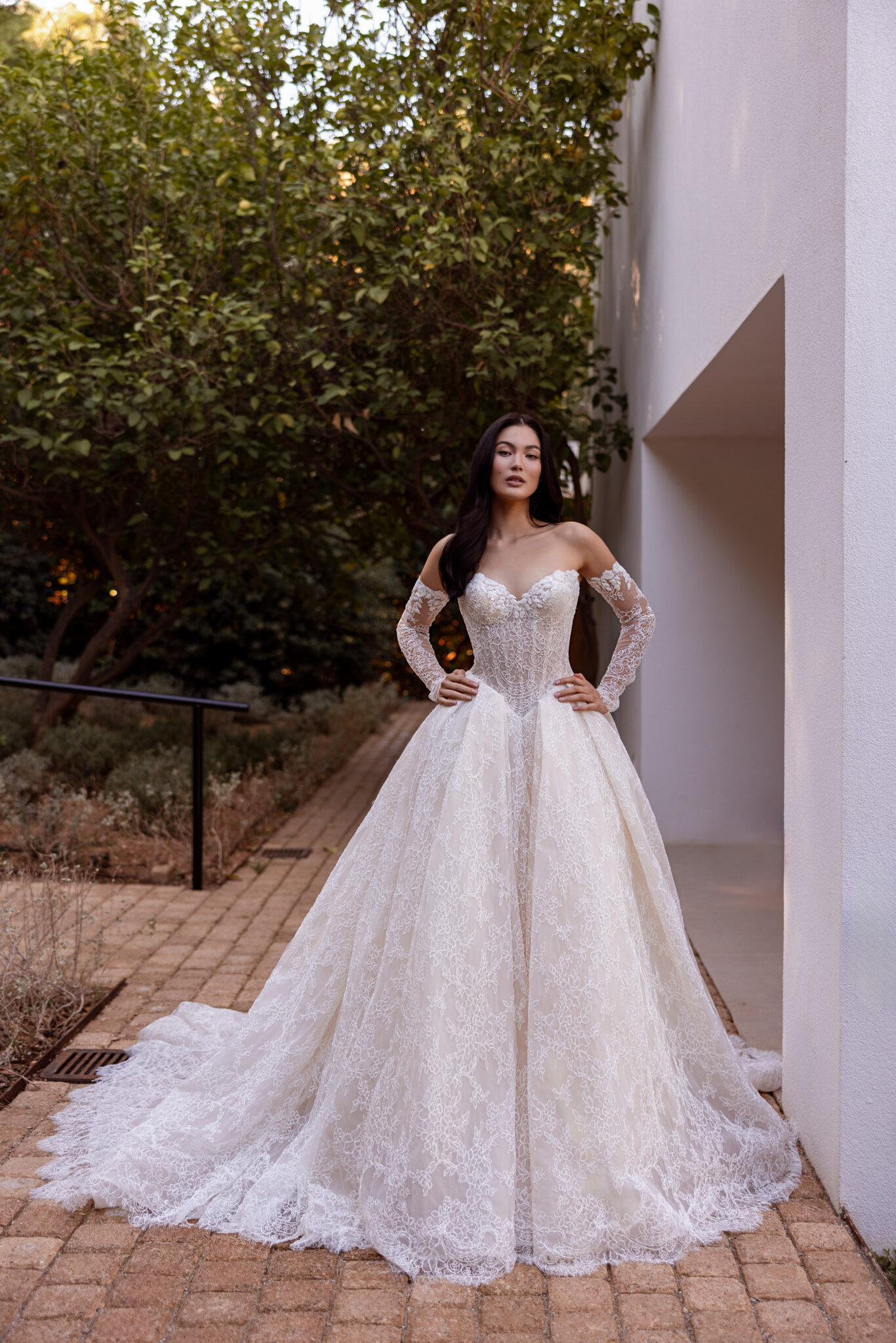 CATERINA | DP566